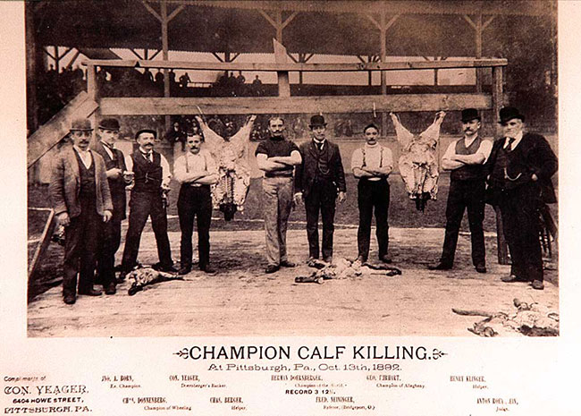 champcalf.jpg
